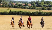 FeWo Pferdekoppel auf dem Ostsee-Ferienhof