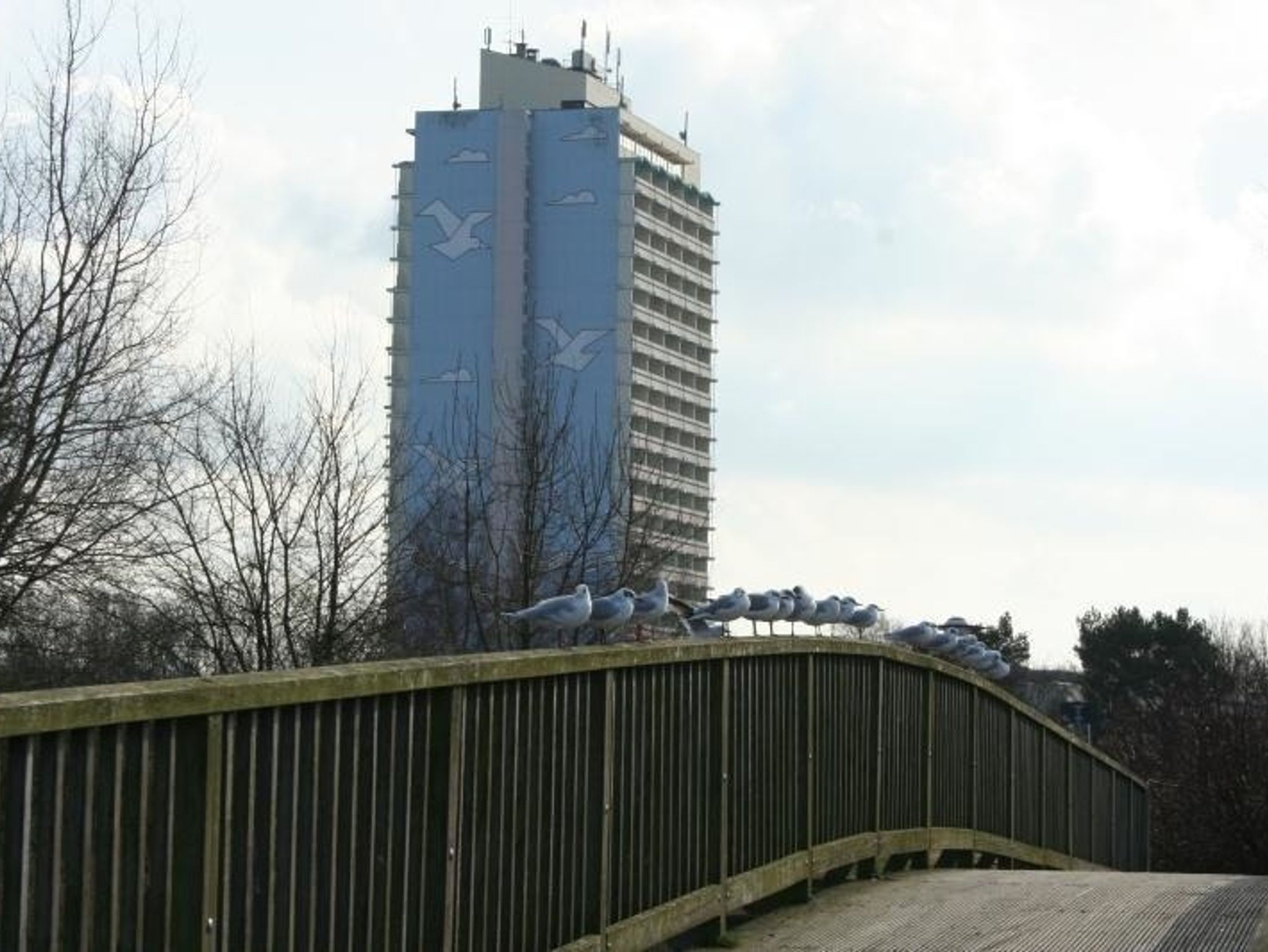 Garten-Ferienwohnung