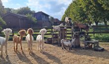 Ostsee-Ferienhof FeWo Glockenblume