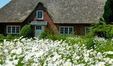 Freistehendes Reetdachhaus auf einem großen Grundstück in ruhiger Umgebung