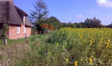 Freistehendes Reetdachhaus auf einem großen Grundstück in ruhiger Umgebung