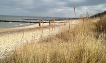 Ostsee - Reetdachhaus Nr. 10 "Reethus Sonnendüne" im Strand Resort