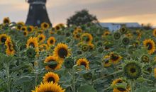 Ferienhof Marquardt Fewo Gänseblümchen