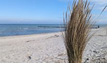 Wellnesshaus Löwenzahn auf dem Ostsee-Erlebnishof, für bis zu 10 Pers