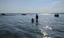 Wellnesshaus Löwenzahn auf dem Ostsee-Erlebnishof, für bis zu 10 Pers