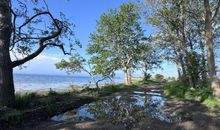 Ferienhaus Mohnblume auf dem Ostsee-Reiterhof, für bis zu 10. Pers.