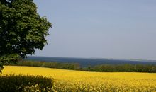 Garten-Ferienwohnung