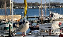 Apartmenthaus Hafenspitze  Ap. 2  - "Am Leuchtfeuer 2" - Blickrichtung Yacht-, Binnenhafen und offene See