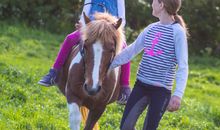 Ferienhof Marquardt  Fewo Sperlingshöh