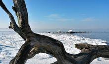 Strandnahes Design-Wohlfühlappartement - Urlaub von Anfang an