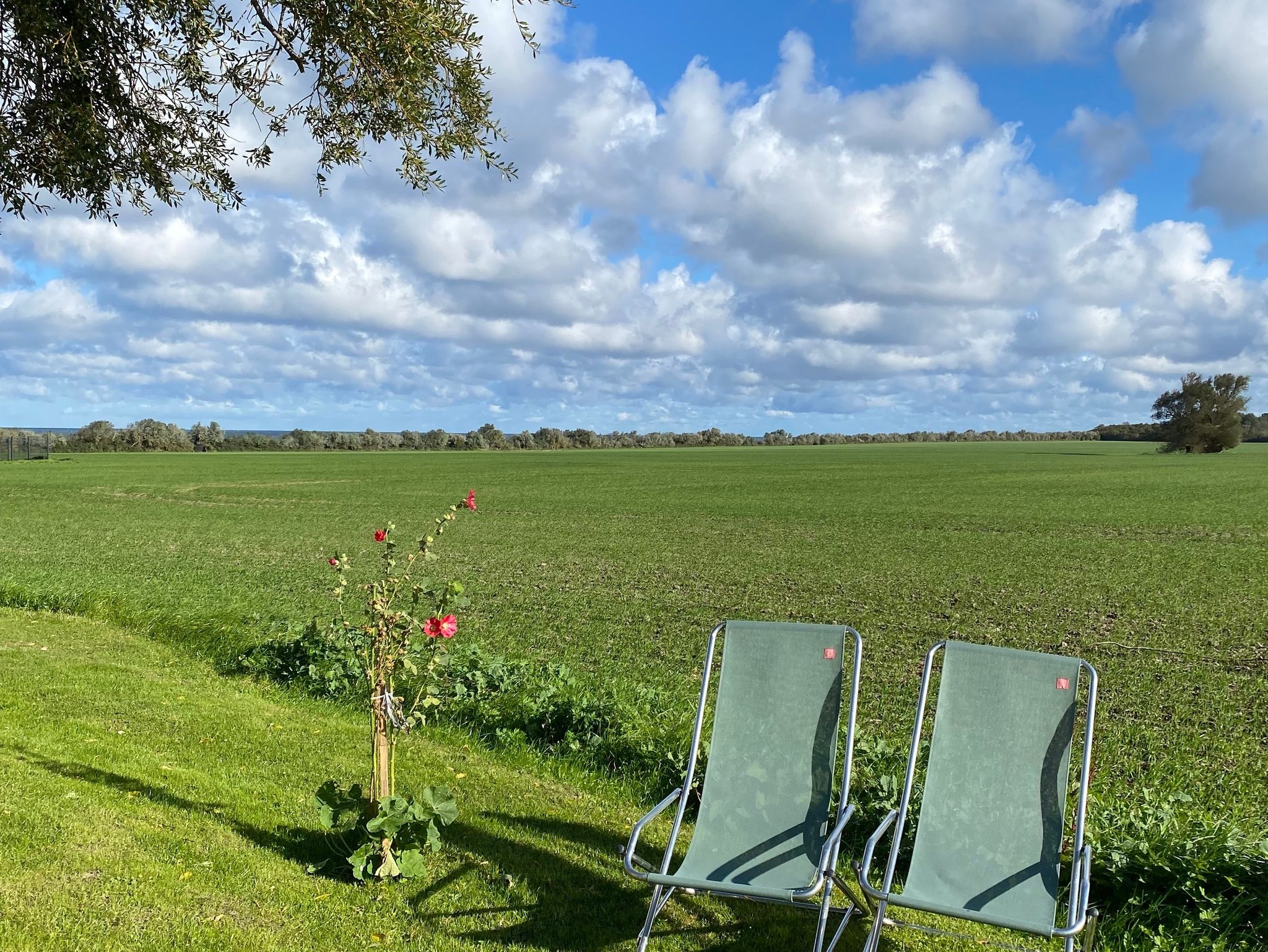 Reetgedecktes Ferienhaus