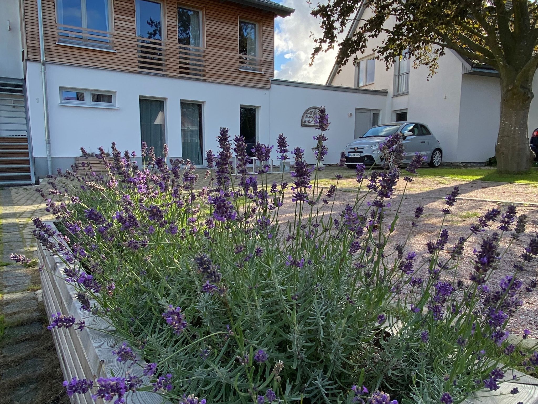 Reetgedecktes Ferienhaus