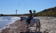 Fehmarn Ostseeferien FW4/Große Strandperle (115/1)