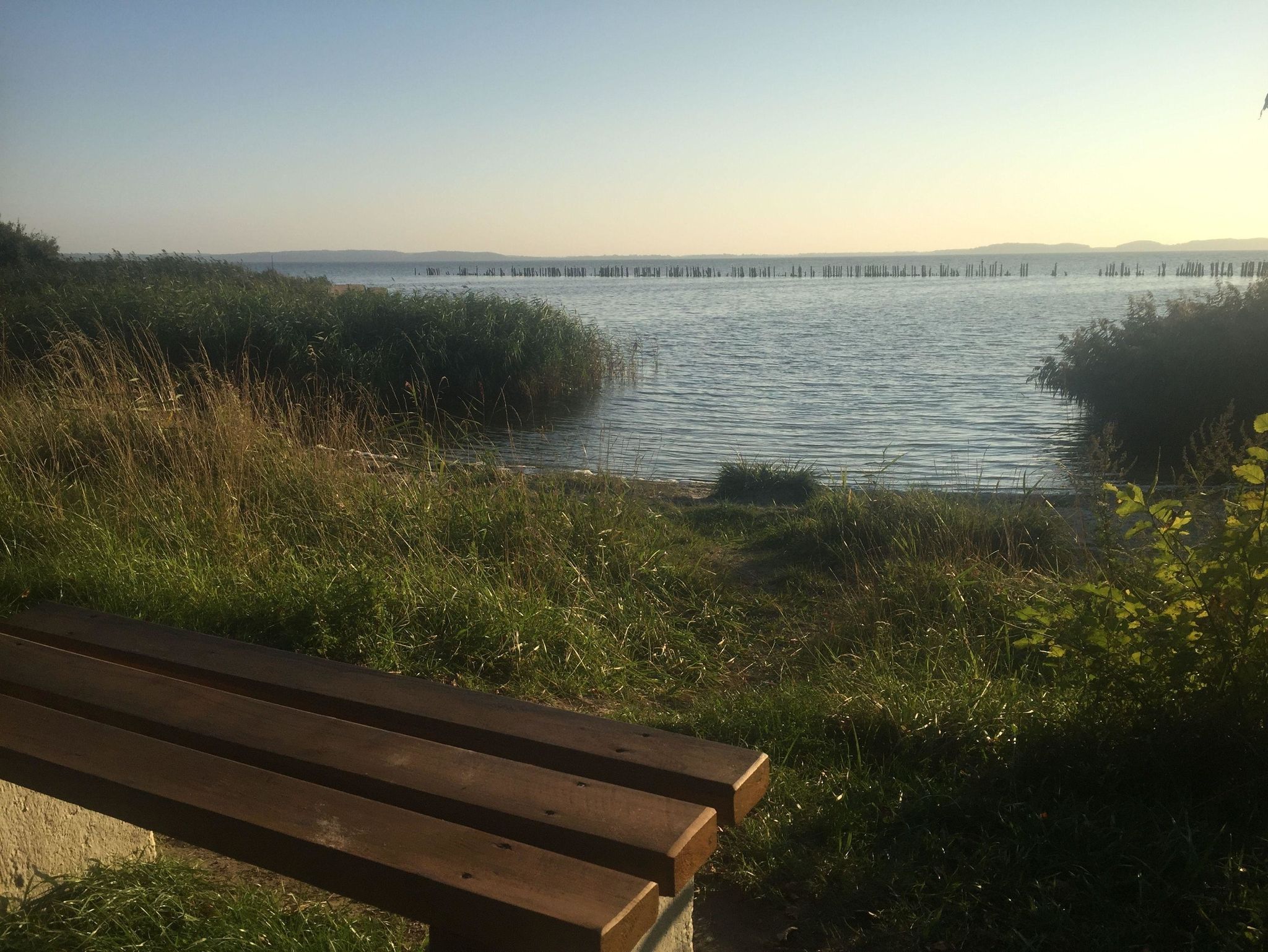 Ein Steinwurf zum Ostseestrand: Ferienwohnung Martha mit Terrasse