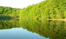 Der schwarze See in der Granitz