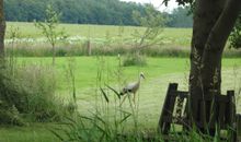 Gartenblick