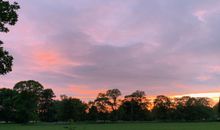 Abendstimmung im Garten