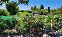 Blick von der Terrasse in den Garten bis zum Achterwasser