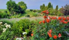 Blick in Garten und zur Wiese am Achterwasser