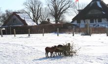 rechts und links Terrassen an den Erdgeschossferienwohnungen