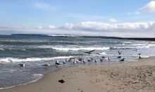 längster Strand auf Rügen - die Schaabe