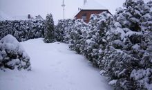 Ferienwohnung am Nationalpark