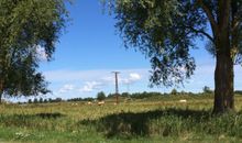 auf dem Fahrradweg von Karlshagen nach Peenemünde