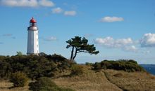 Ferienzimmer unterm Reetdach in Plogshagen/Hiddensee