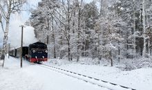 Rasender Roland bei Schnee