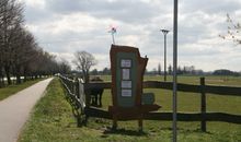 Wasserbüffelhof Seekoppel mit Frischfleischverkauf 150m entfernt