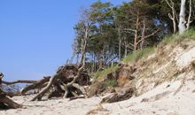 Weststrand - Urig und naturbelassen