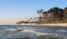 Weststrand - Ostsee - Halbinsel Darss