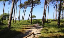 Radwege entlang des Weststrandes