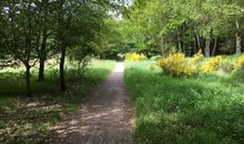 Der Weg zum Weststrand durch den Nationalpark