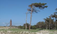 Darsser Leuchtturm und Windflüchter