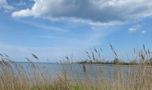 Naturstrand am Salzhaff