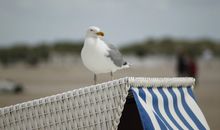 Villa Hildegard-Strand 200 Meter-Balkon-Zentrum von Binz/2