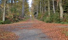 Im Erlebnis-Wald in Kellenhusen, direkt am Ort und der Ostsee