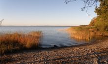 Möwenort Halbinsel Gnitz