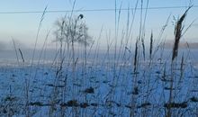 Landschaft im Winter