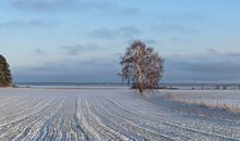 Landschaft im Winter