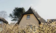 Reetgedecktes Ferienhaus in Ahrenshoop