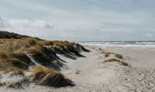 Strand von Ahrenshoop