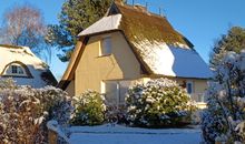 Haus Seestern unterm Rohrdach