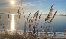 Haffidylle - Ostseebucht zwischen Rerik und Hansestadt Wismar