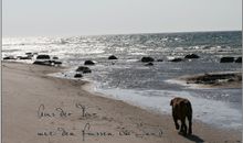 Naturstrand Bakenberg direkt vor der Haustür