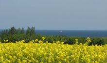 Hobenbeseuk im Schifferhus Wismar