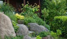 Kleiner Kräutergarten für nette Grillabende