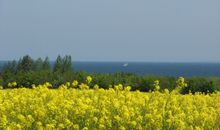 Ferienbungalow Klützer Winkel - ABC165