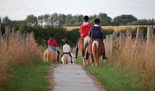 Ausritt auf den Ponys